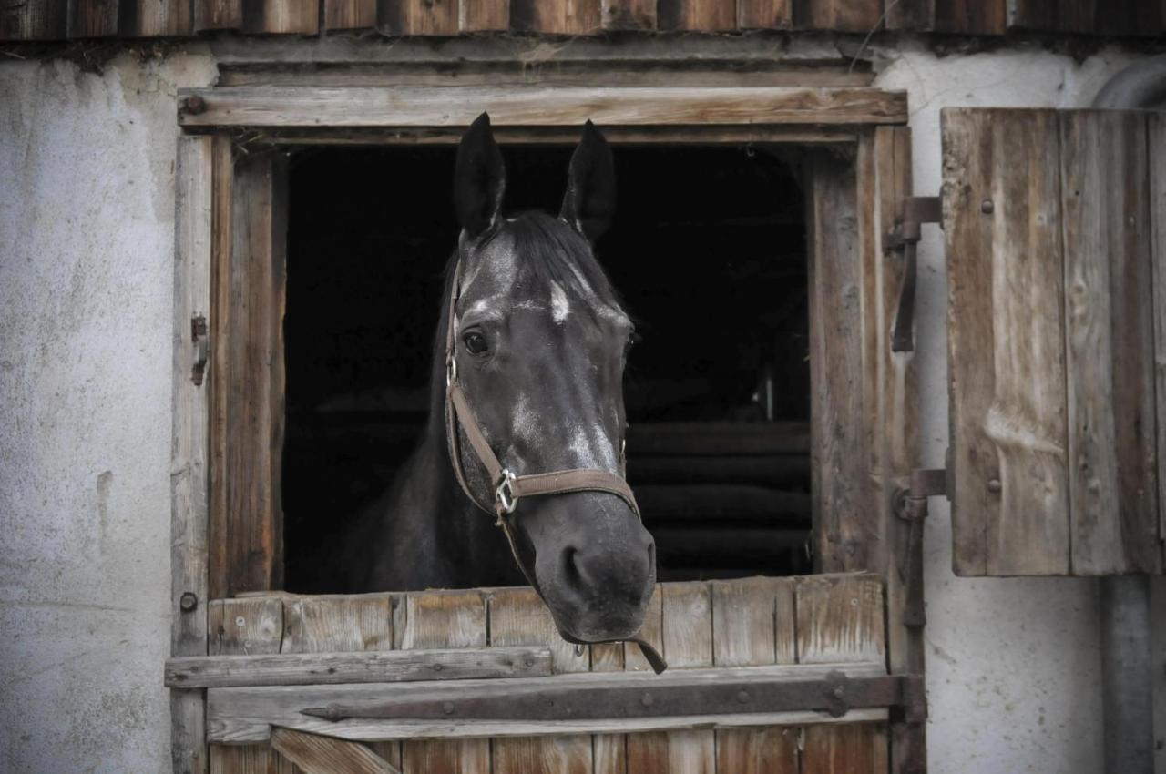 Ferienhof Metzler Bodnegg Bagian luar foto