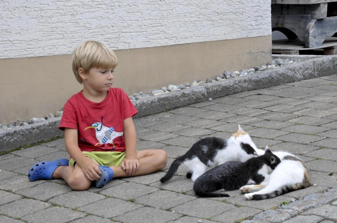 Ferienhof Metzler Bodnegg Bagian luar foto