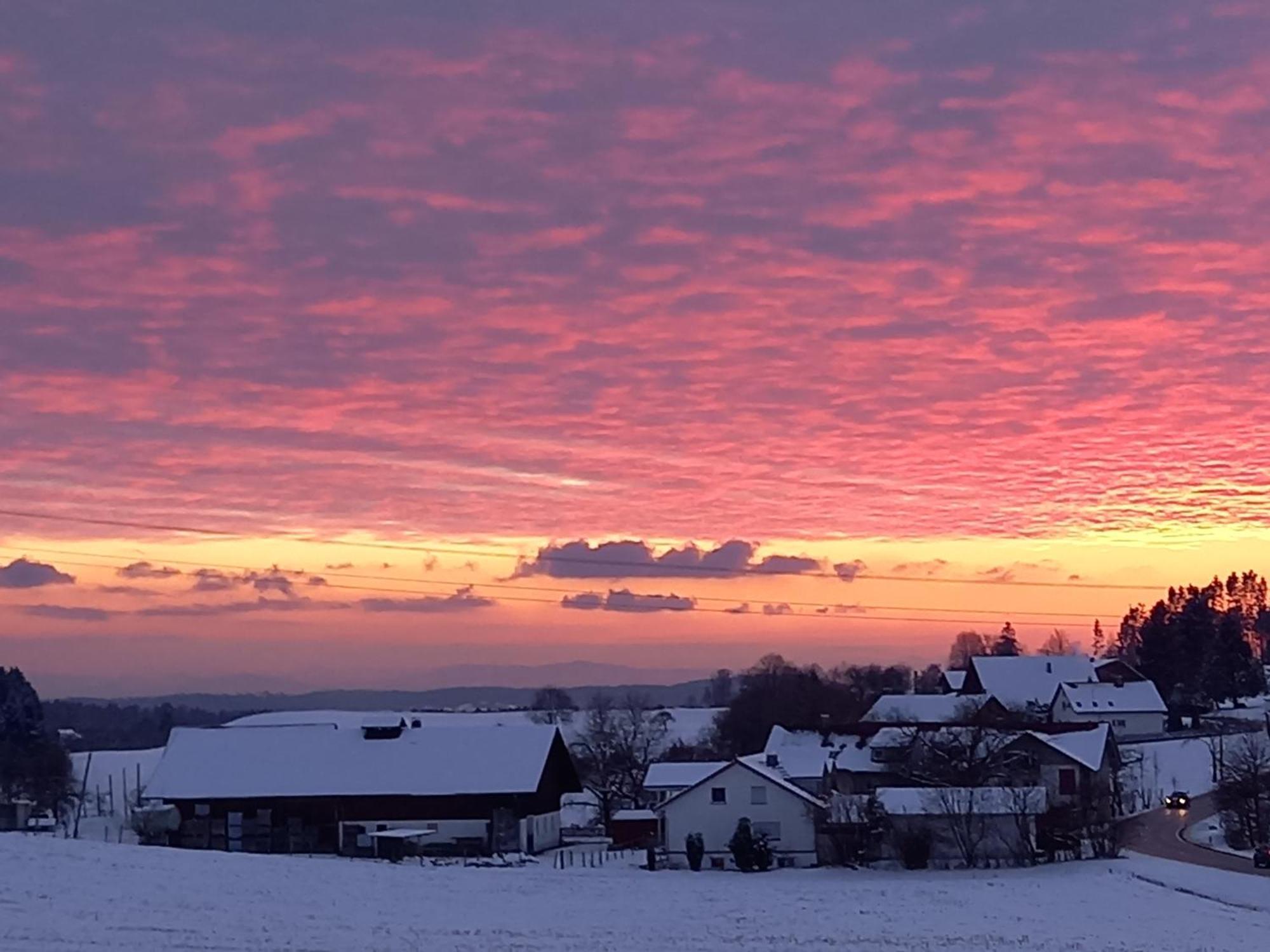 Ferienhof Metzler Bodnegg Bagian luar foto