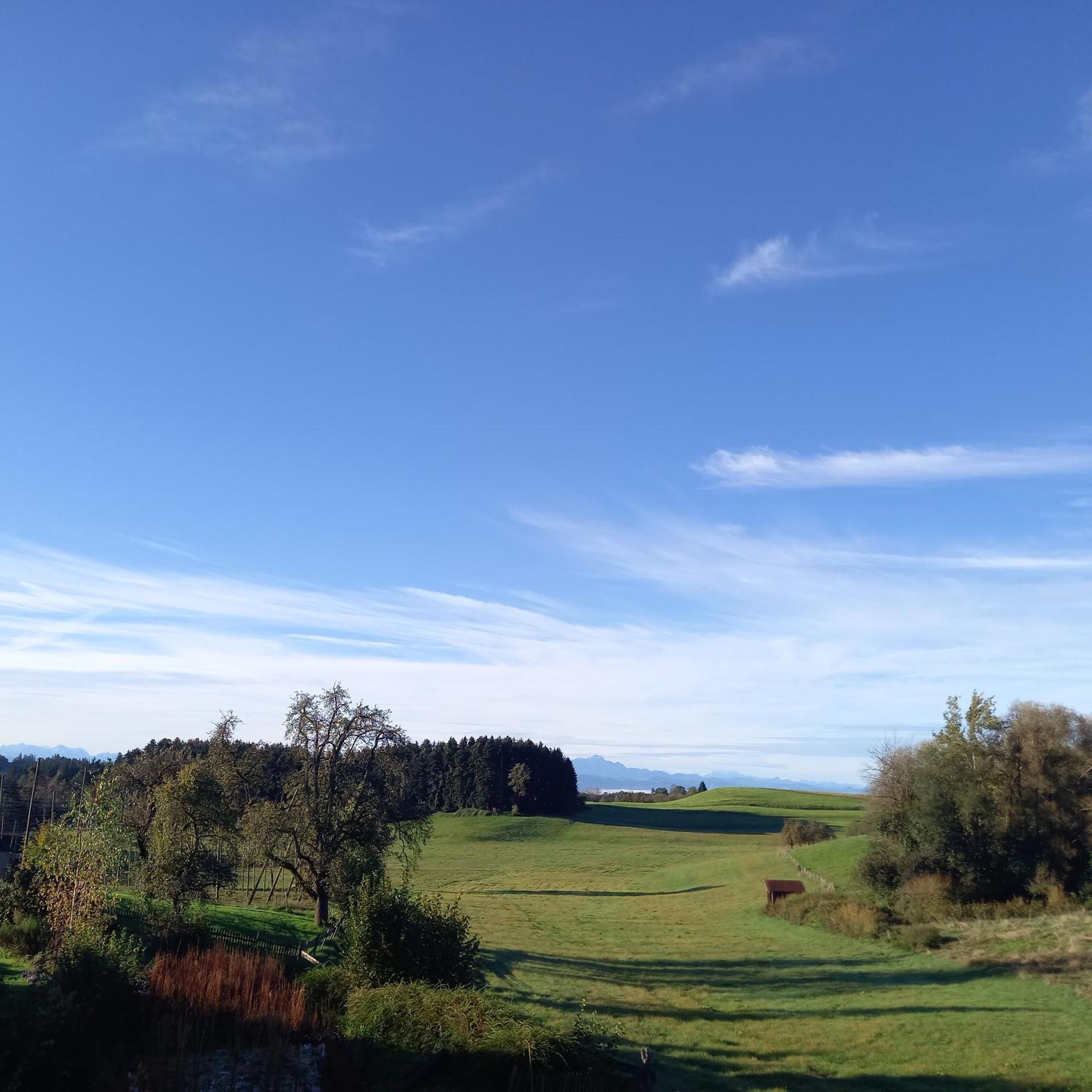 Ferienhof Metzler Bodnegg Bagian luar foto