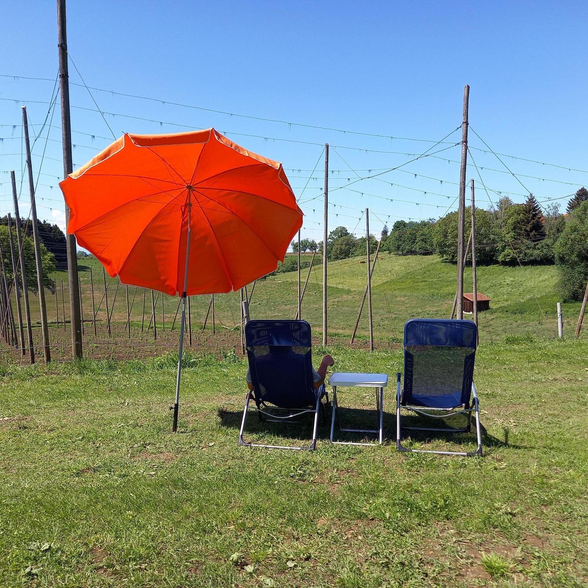 Ferienhof Metzler Bodnegg Bagian luar foto