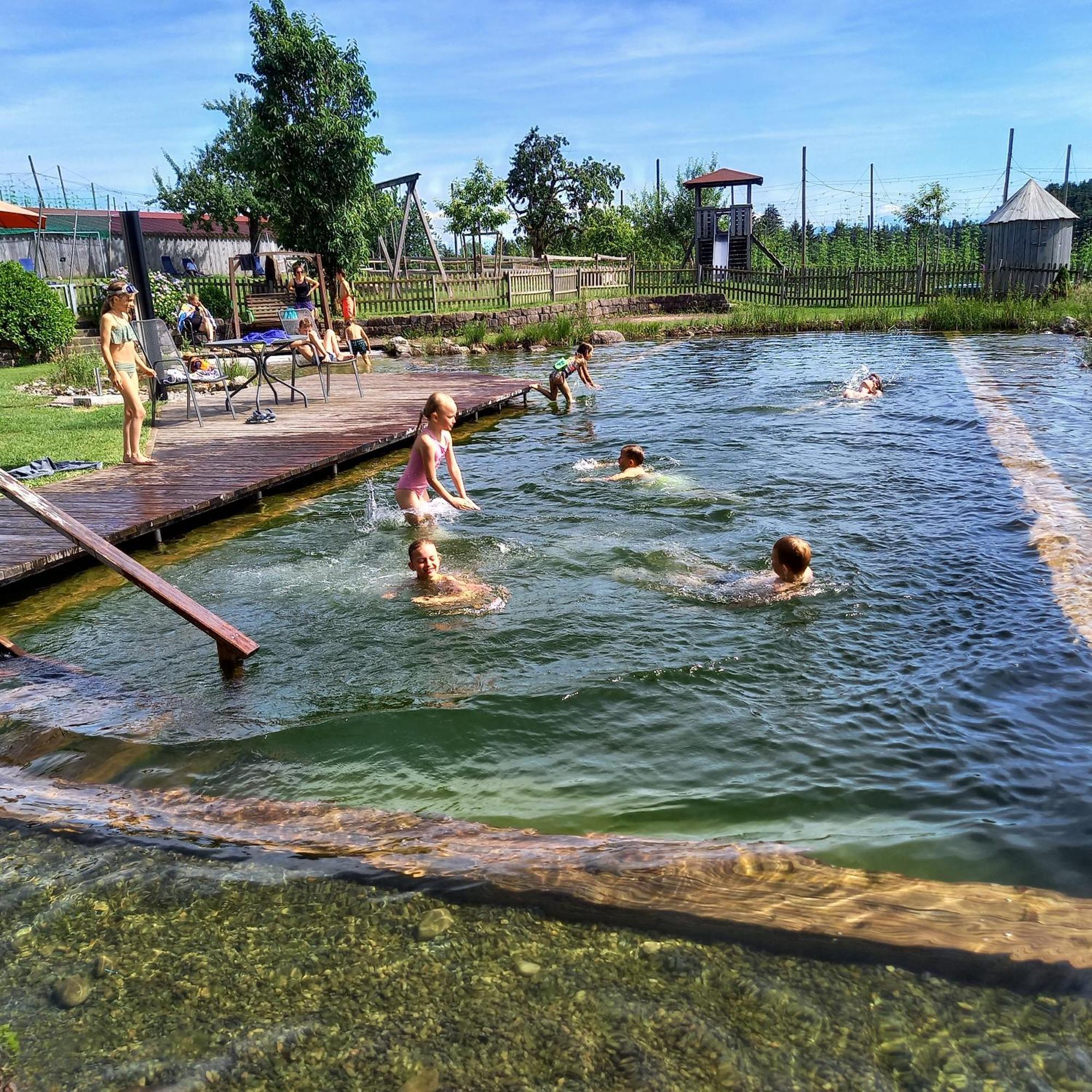 Ferienhof Metzler Bodnegg Bagian luar foto
